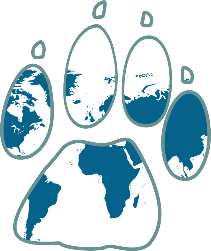 Discover the World with Teddy